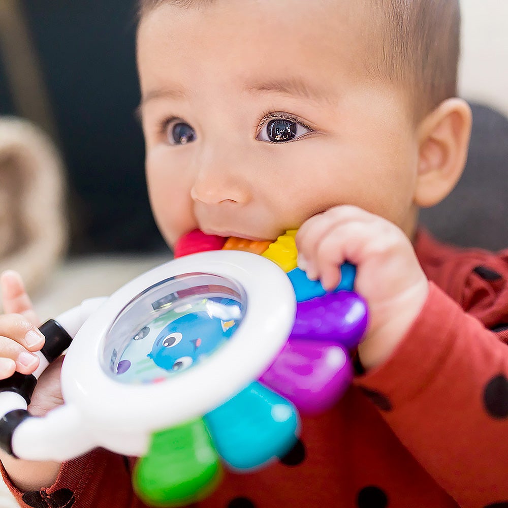 Baby Einstein Outstanding Opus Sensory Rattle and Teether Rattle