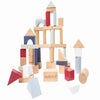 EverEarth Lifestyle Collection 50-piece Building Blocks
