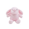 Hi Hop Betsie the Bunny Soft Toy