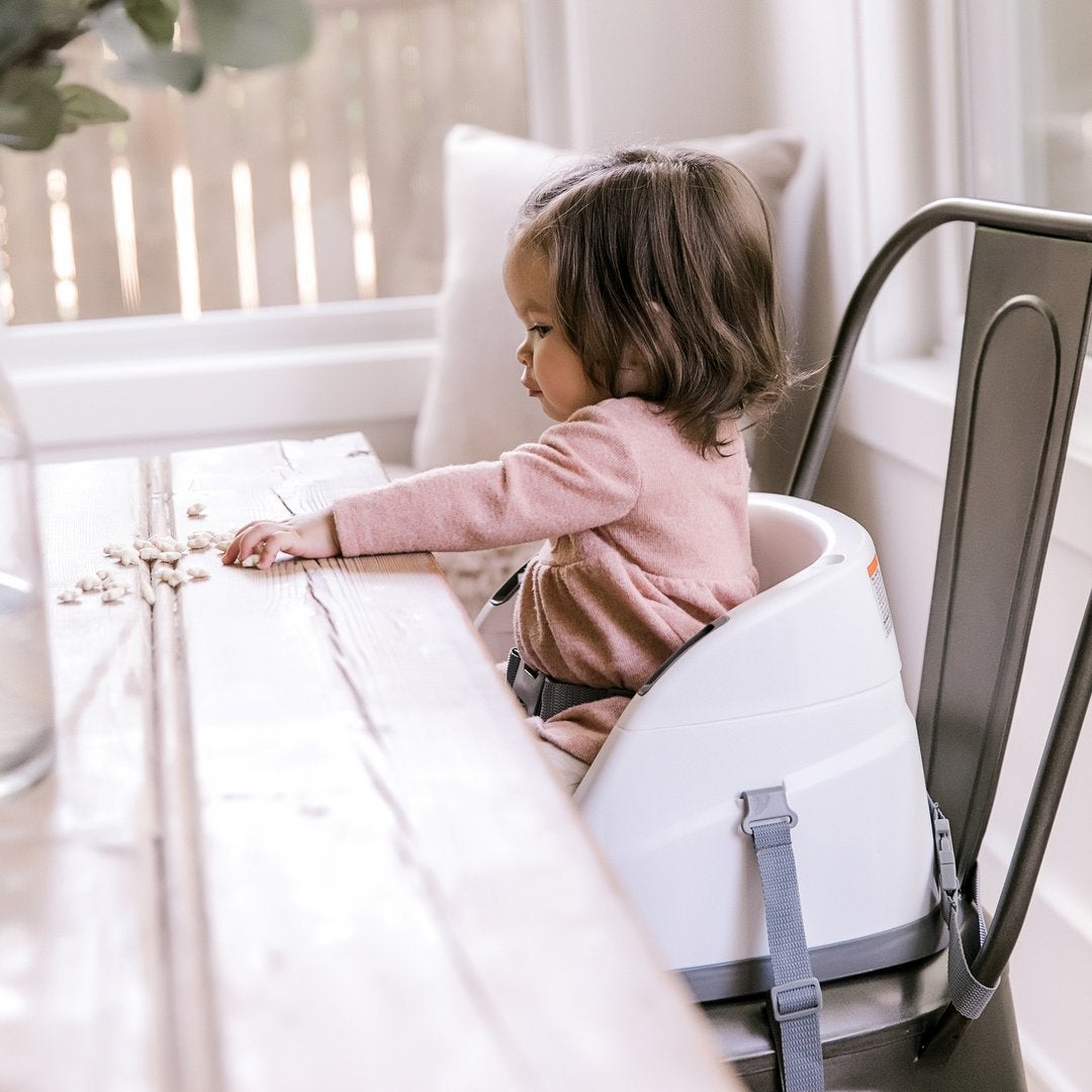 Ingenuity baby hotsell feeding chair