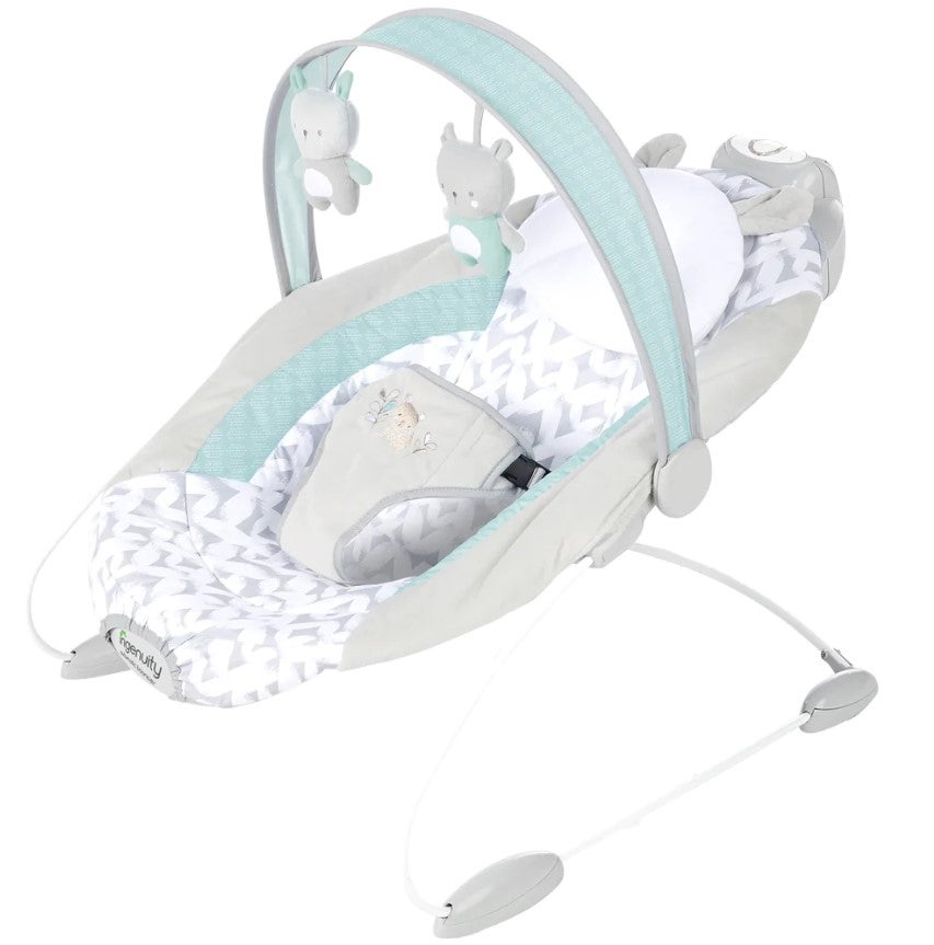 Ingenuity baby hot sale bouncer battery type