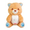 Winfun 2-in-1 Starry Lights Bear